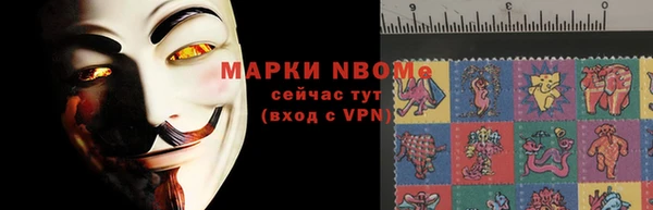 мдпв Снежногорск